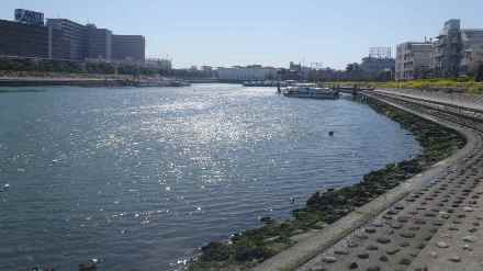 Img_990116_24204276_1 Img_990116_24204276_1