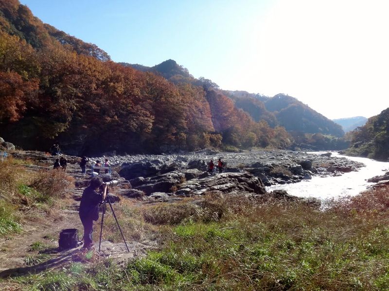 Pic20131124　長瀞と自然の歴史を学ぶみち (29)
