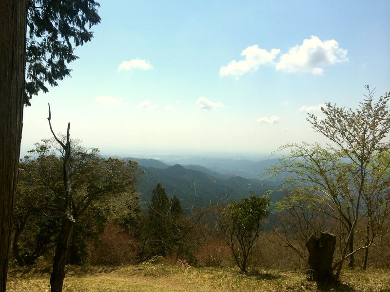 PicIMG_4315 PicIMG_4315
