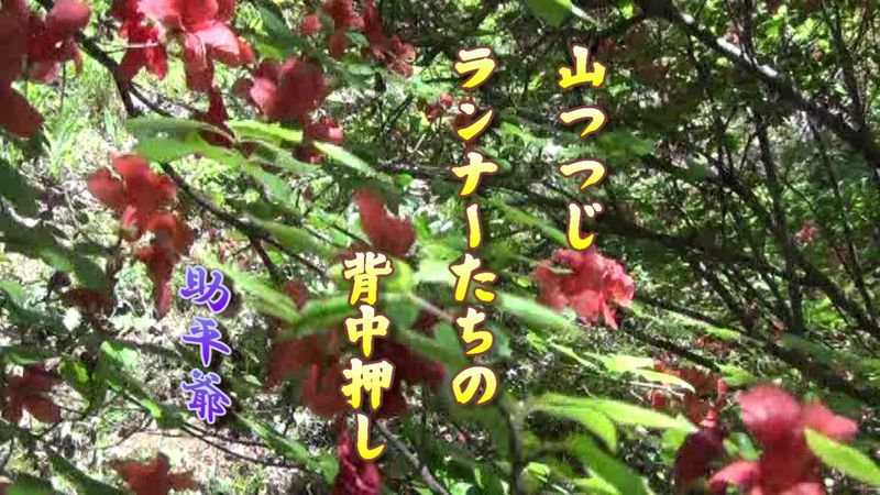 SnapShot(11) SnapShot(11)