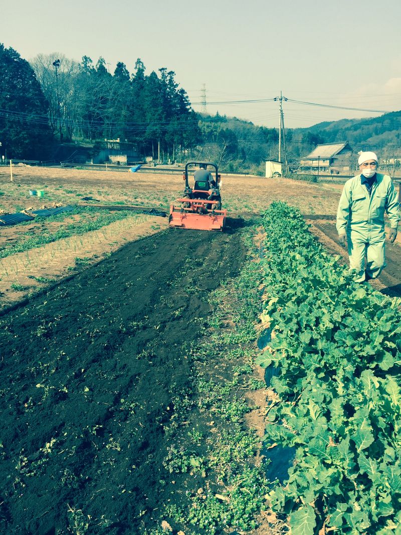 20150322　野村農園にて (7)