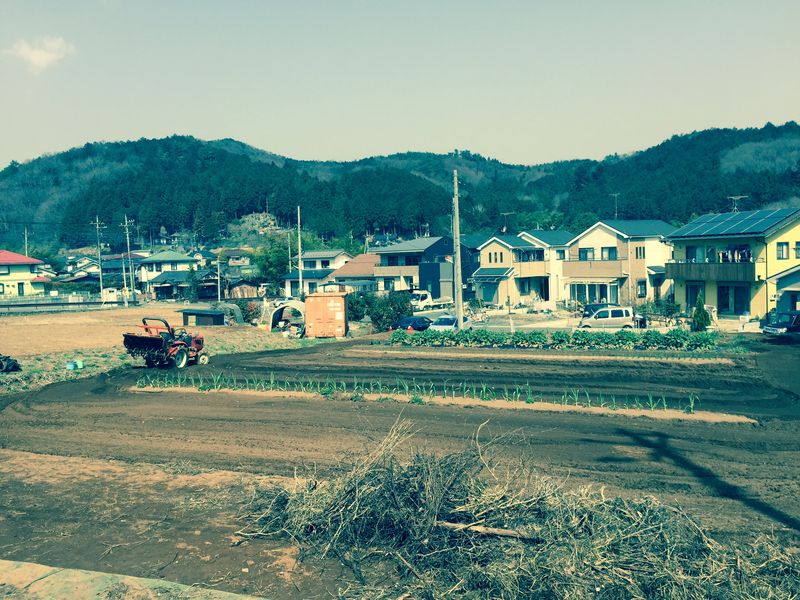 20150322　野村農園にて (22)