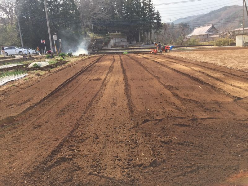 20150322　野村農園にて (17)