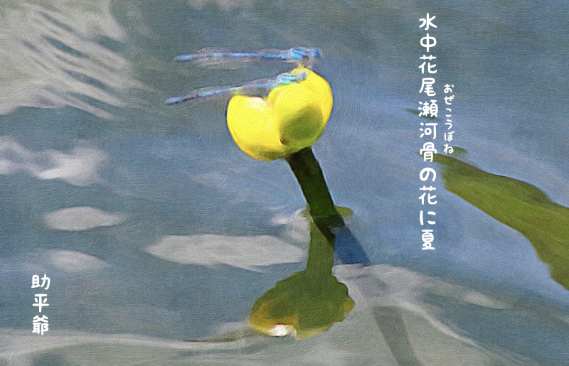 IMG_1963 IMG_1963
