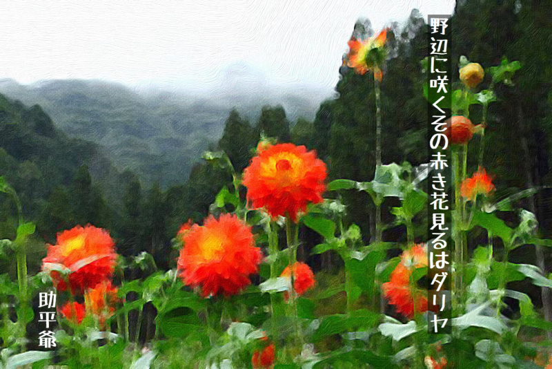 DE4B3700-5B57-4A15-A14B-127C287427A6