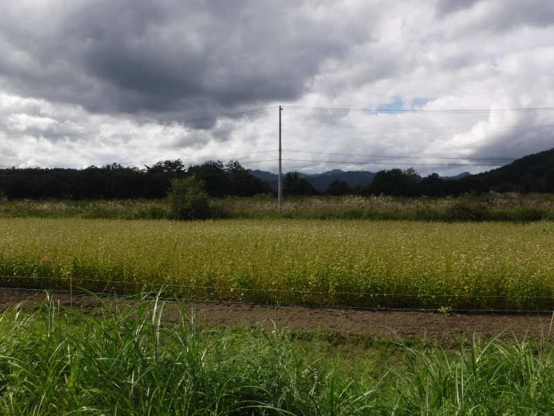 DSCF4855 DSCF4855