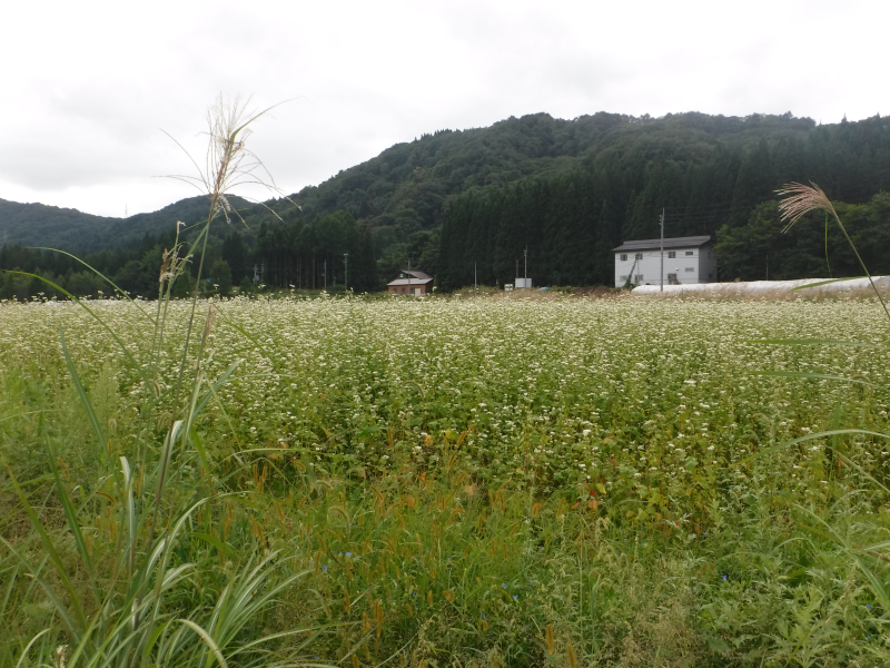 DSCF4925 DSCF4925
